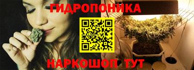 соль ск Свободный