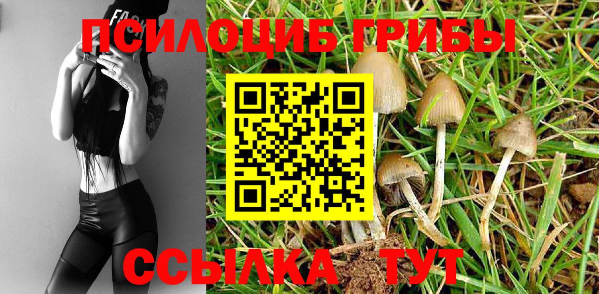 Псилоцибиновые грибы мицелий Саяногорск