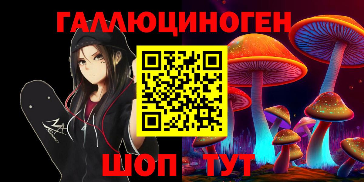 Галлюциногенные грибы Psilocybine cubensis  Вход с VPN  Галлюциногенные грибы мицелий  Саяногорск 